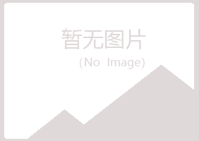 百合网实名号机械有限公司